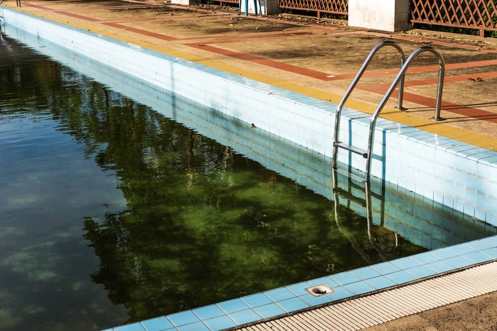 Old abandoned swimming pool with dirty water - Prevent Your Pool from Becoming a Germ Factory